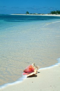 Turks & Caicos Islands - Beach