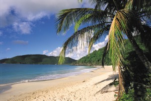 United States Virgin Islands - USVI Beach View