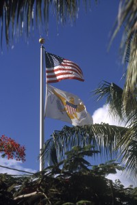 United States Virgin Islands - USVI Flag