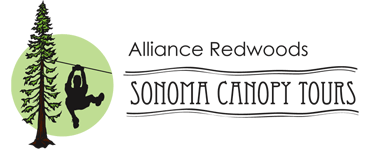 Alliance Redwoods Sonoma Canopy Tours - Zipline